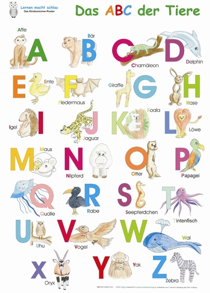 mit Anlauttabelle DIN A2 GS Zaubers/üss ABC Poster f/ür Kinder doppelseitiges Alphabet-Poster zum Buchstaben Lernen in Grundschrift
