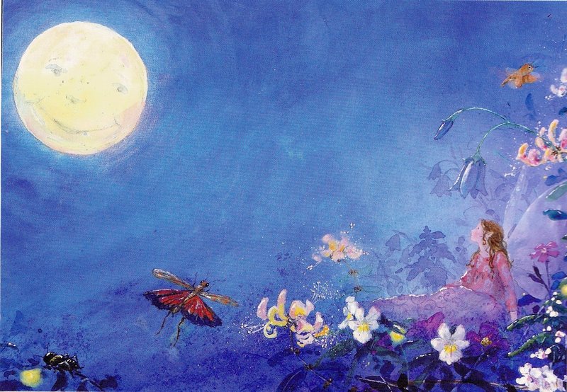 Die kleine Elfe kann nicht schlafen Postkarte Schmetterling Drescher 
