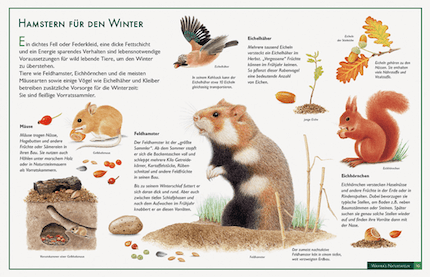 Forage for the winter