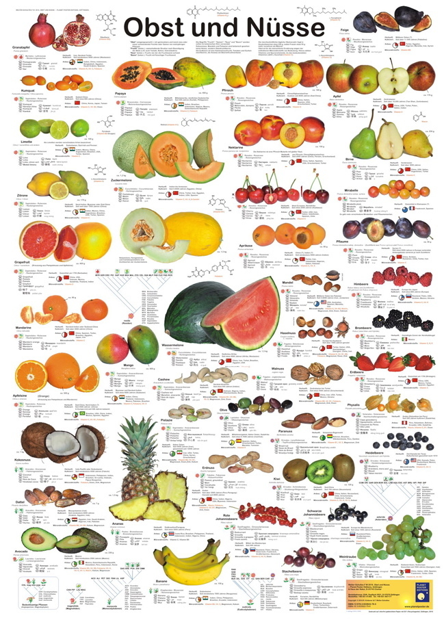 Sachunterricht Grundschule: Kennenlernen von Obstsorten und -arten (Klasse 2)