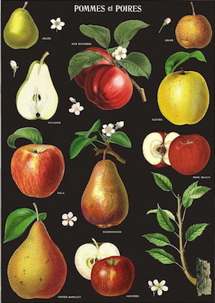 POMMES et POIRES - Äpfel und Birnen