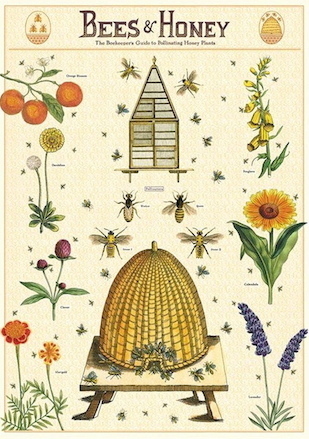 BEES & HONEY - Bienen und Honig