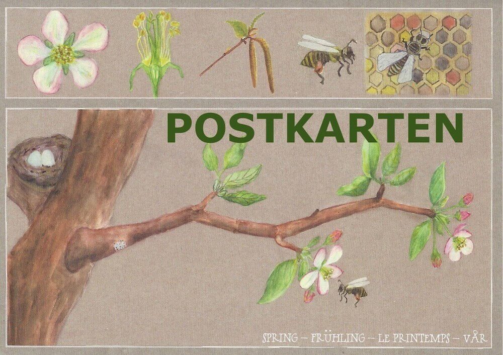Fruhling-Postkarte-Judith-Etzold-Fruhling-auf-dem-Apfelbaum-Recyclingpapier-gross
